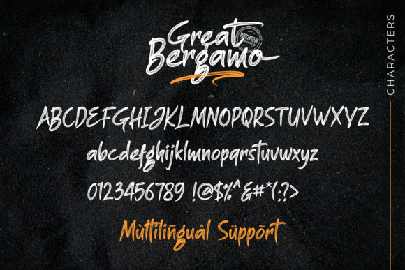 Great Bergamo Font PNG with transparent background - Preview 3