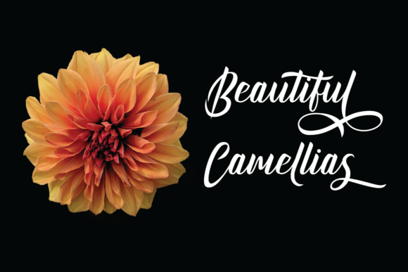 Kinghawk Font PNG with transparent background - Preview 3