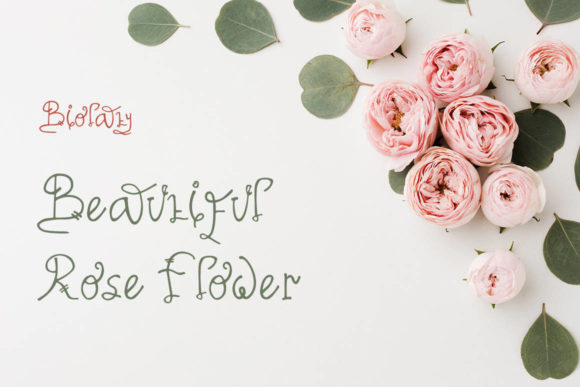 Biolati Font - Preview 5
