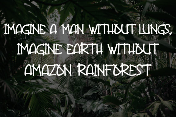Jungle Bunch Font PNG with transparent background - Preview 3