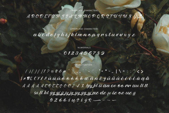 Petter and Sons Font PNG with transparent background - Preview 1