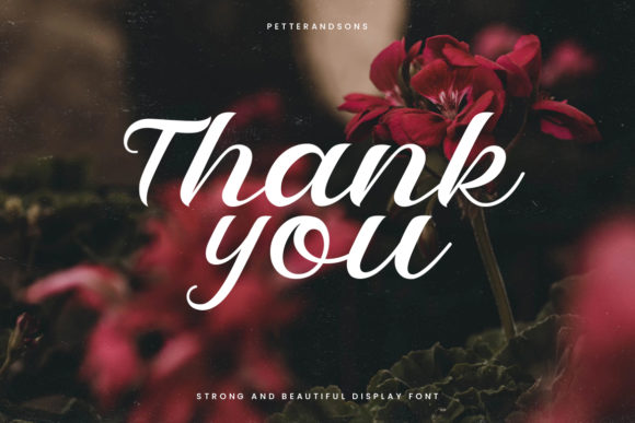 Petter and Sons Font PNG with transparent background - Preview 5