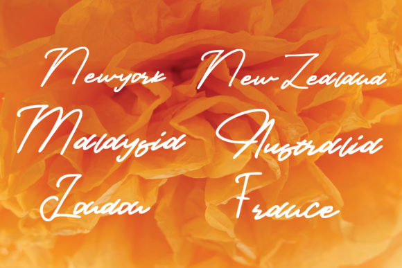 Provincia Font PNG with transparent background - Preview 2