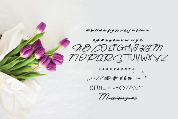Provincia Font PNG with transparent background - Preview 4