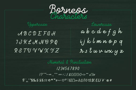 Borneos Font - Preview 4