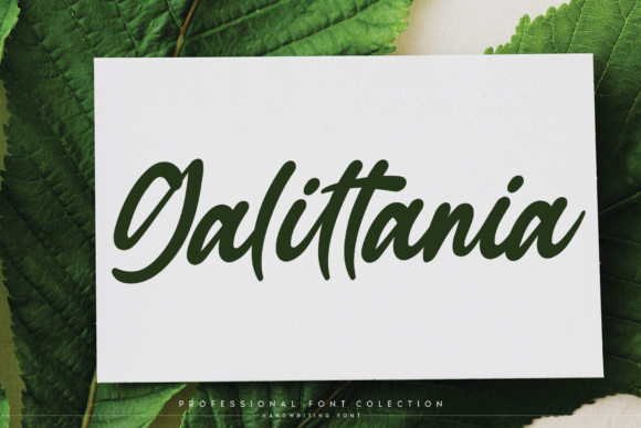 Bellania Font - Preview 2