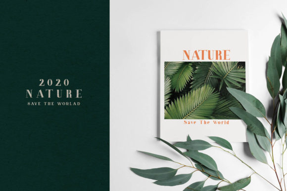 Carole Font - Preview 6