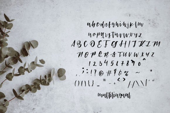 Johnson Camelia Font PNG with transparent background - Preview 5