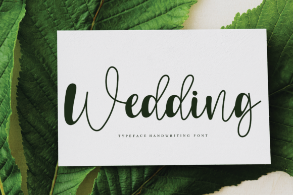 Orlline Font PNG with transparent background - Preview 5