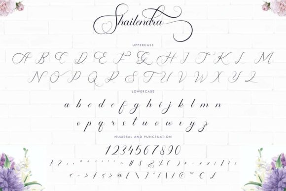 Shailendra Font PNG with transparent background - Preview 4