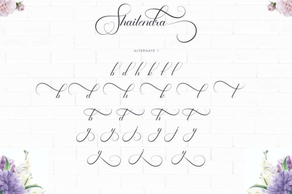 Shailendra Font PNG with transparent background - Preview 6
