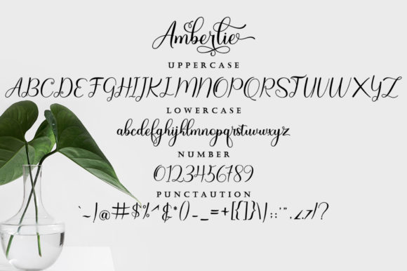 Amberlie Font - Preview 6