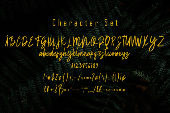 Balsam Font - Preview 5