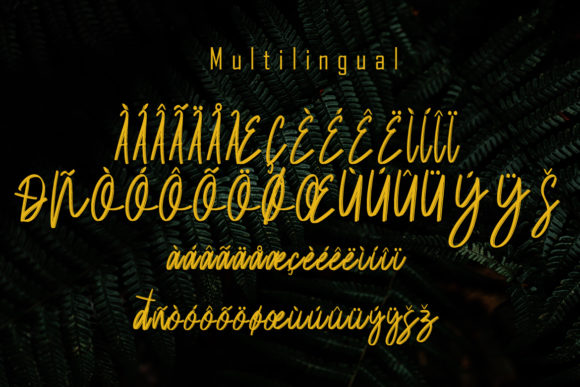 Balsam Font - Preview 6