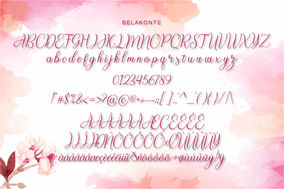 Belakonte Font - Preview 6