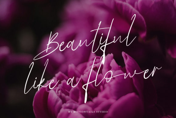 Bellanesia Font - Preview 3