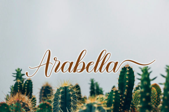 Elora Font - Preview 4