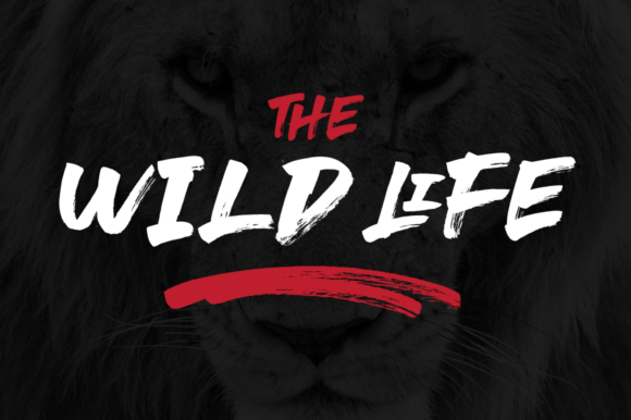 Le Genoss Font PNG with transparent background - Preview 4