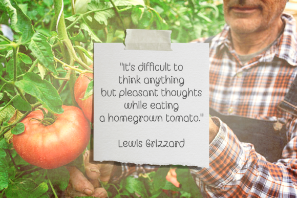 Organic Veggies Font PNG with transparent background - Preview 1