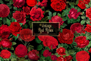 Vintage Red Roses Clipart Graphic by Digital Curio · Creative Fabrica