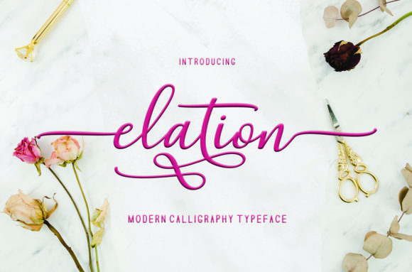 Elation Font - Preview 2