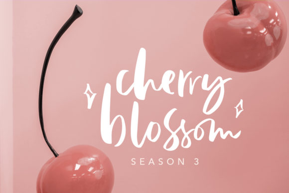 Lindsay Brown Font font preview - 5
