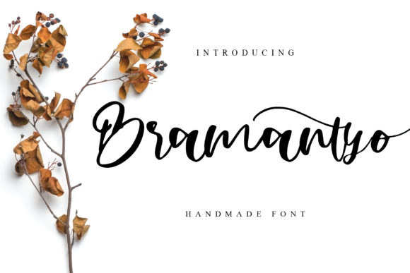 Abimanyu Font - Preview 2