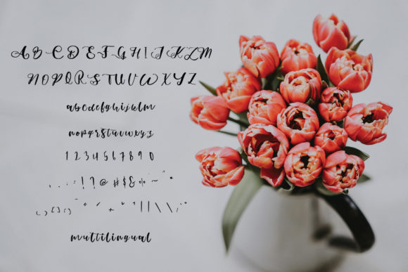 Abimanyu Font - Preview 3