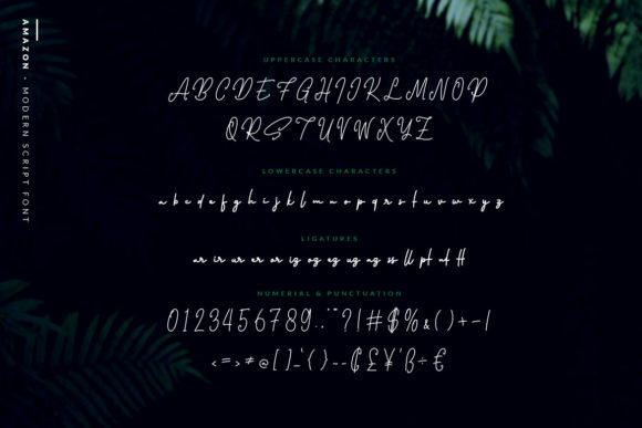 Amazon Font - Preview 1