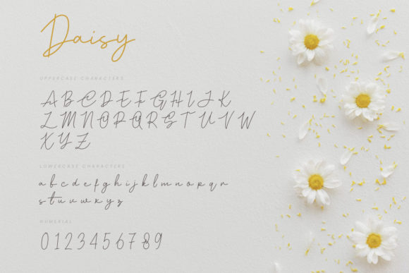 Daisy Font - Preview 1