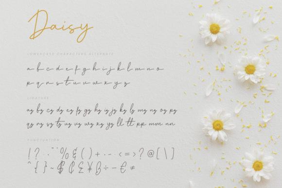Daisy Font - Preview 2