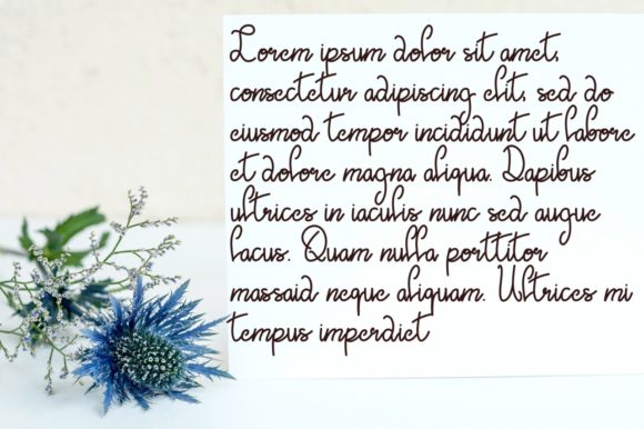 Golden Seed Font - Preview 2