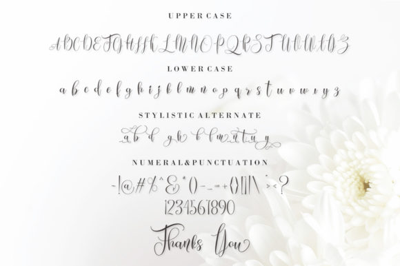 Fanitiya Font - Preview 6