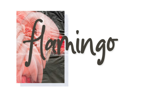 Fourells Font PNG with transparent background - Preview 3