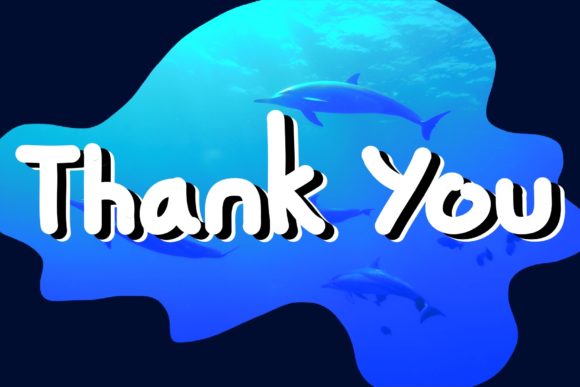 Dolphin Bay Font - Preview 3