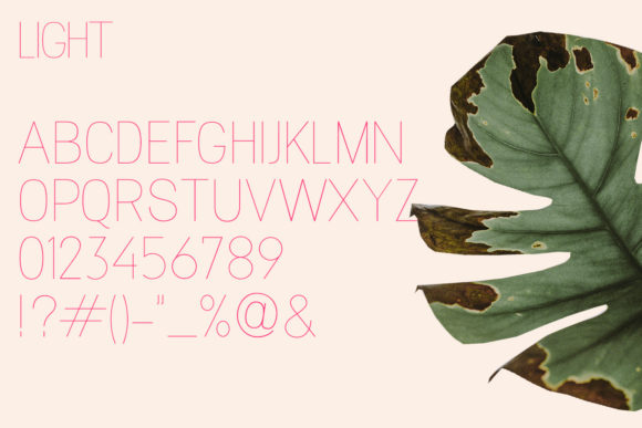 Magnolla  Font PNG with transparent background - Preview 4