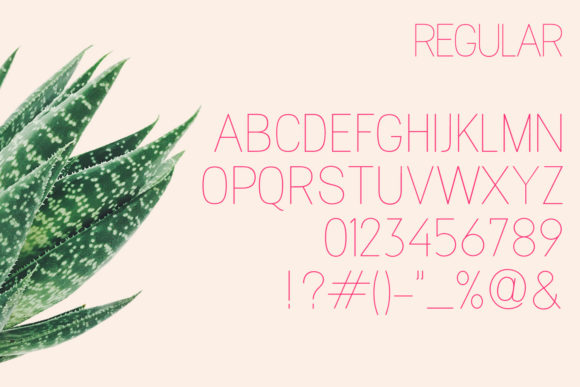 Magnolla  Font PNG with transparent background - Preview 5