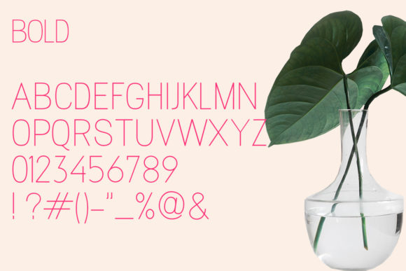 Magnolla  Font PNG with transparent background - Preview 6