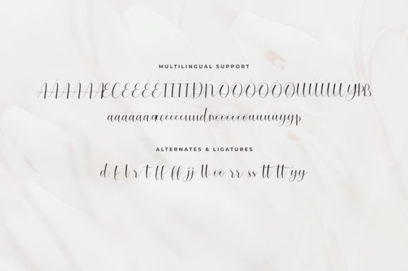Saffire Font PNG with transparent background - Preview 6