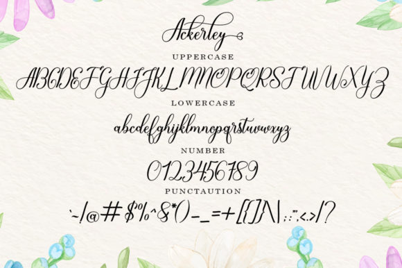 Ackerley Font - Preview 5