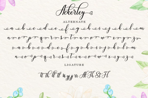 Ackerley Font - Preview 6