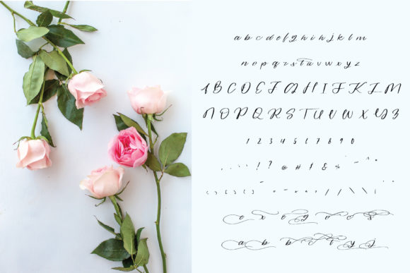 Alandria Font - Preview 2