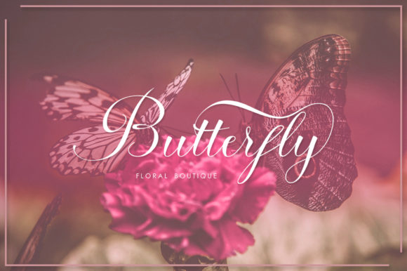 Anaya Font - Preview 2