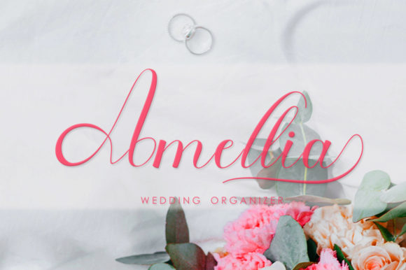 Anaya Font - Preview 3