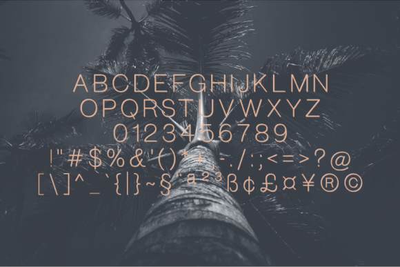 Harleigh Font - Preview 1