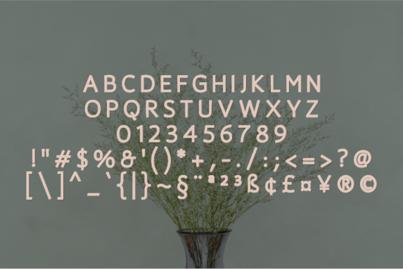 Rouchont Font PNG with transparent background - Preview 1