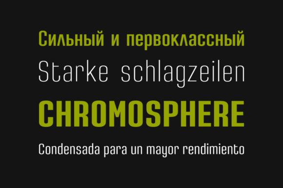 Densa Family Font - Preview 2