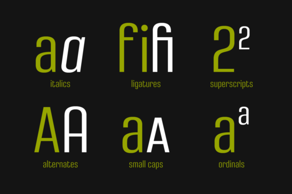 Densa Family Font - Preview 5