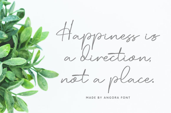 Angora Font - Preview 6