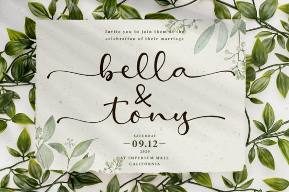 Amelia Stanley Font - Preview 2